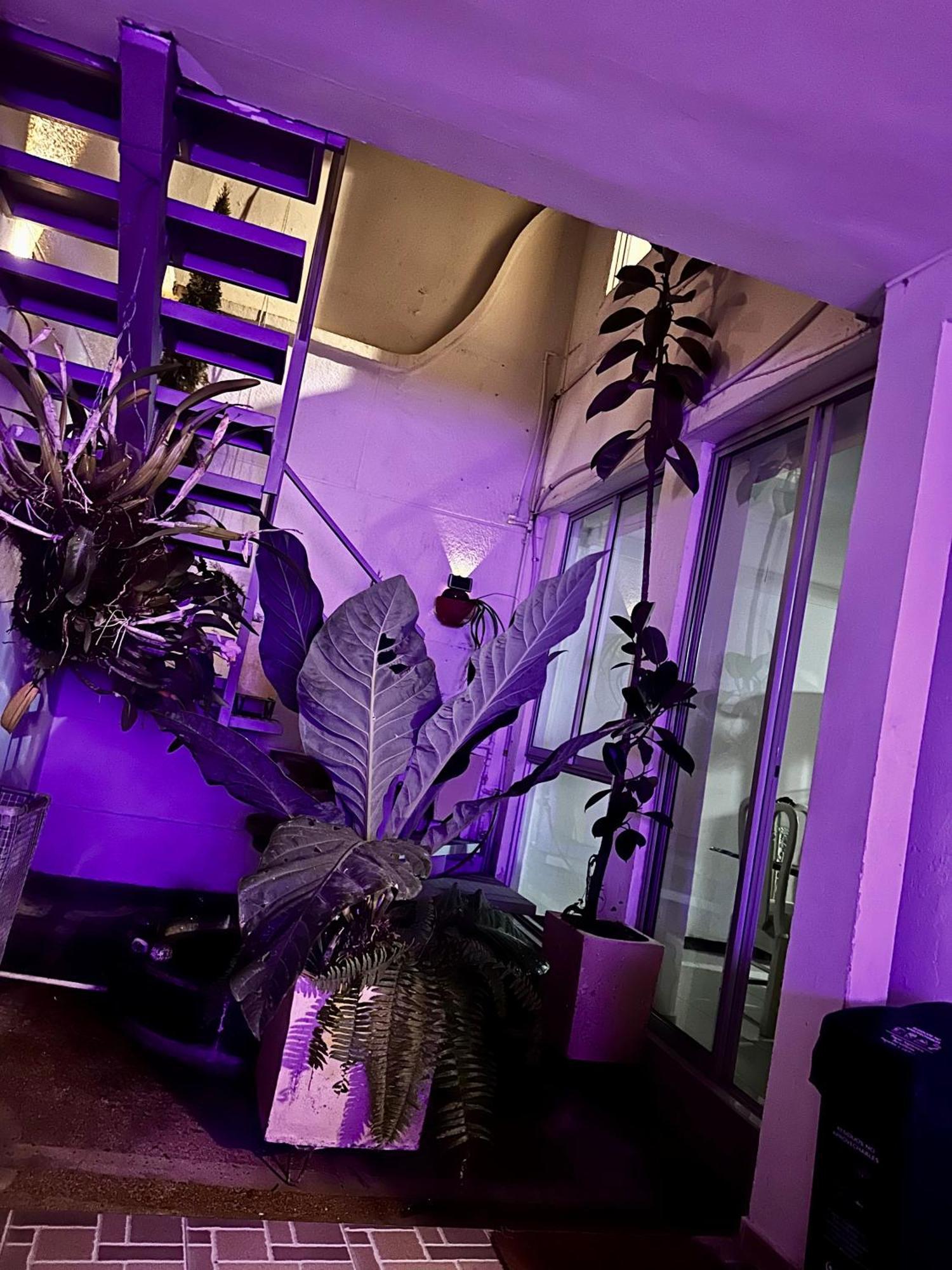 Hostel Brisas Del Nevado Ibagué Eksteriør billede